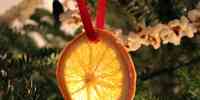 Decorazioni per l'albero di Natale con le arance secche