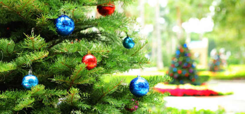 Natale Origini.Tradizioni E Origini Dell Albero Di Natale
