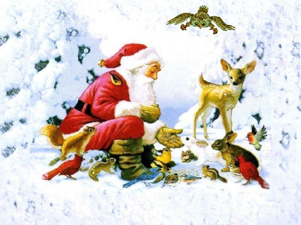 Sfondi Natalizi Con Animali.Wallpaper Babbo Natale